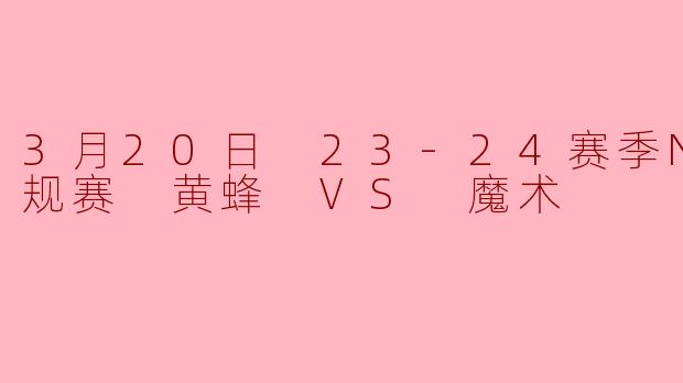 3月20日 23-24赛季NBA常规赛 黄蜂 VS 魔术